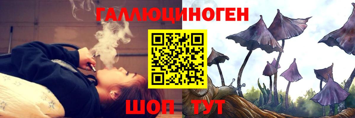 Зеленогорск  Псилоцибиновые грибы MAGIC MUSHROOMS  где найти   Вход с VPN 